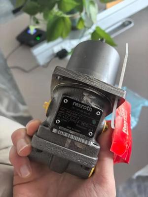 German Rexroth A2FO80 Piston Pump with 3 Speed Settings 12 Months Warranty and 100% Tested for Construction Machinery