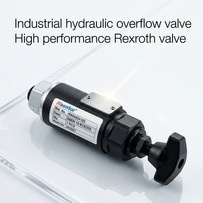 R900424183 DBDH10K1X/315 Rexroth plug-in overflow valve