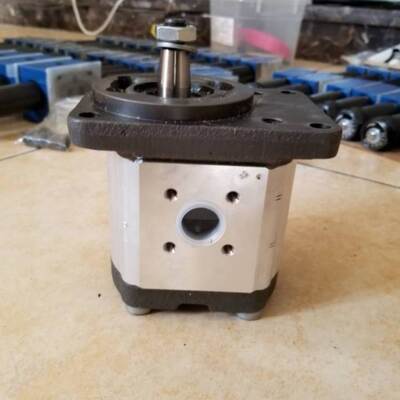 0510625022 AZPF-1X-016RCB20MB German Rexroth gear oil pump
