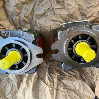 German Rexroth High Pressure Hydraulic Gear Pump for Steel Plant Metallurgical Industry with Up to 1000 cc/rev Displacement and 1 Year Warranty