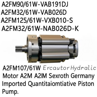 Rexroth Germany Imported High Pressure Hydraulic Piston Pump with Flange Mounting and Cast Iron Construction