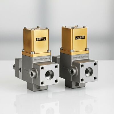 DBEE6-1X/200YG24K31M DBEE6-1X/315YG24K31M Proportional German Rexroth high-pressure relief valve