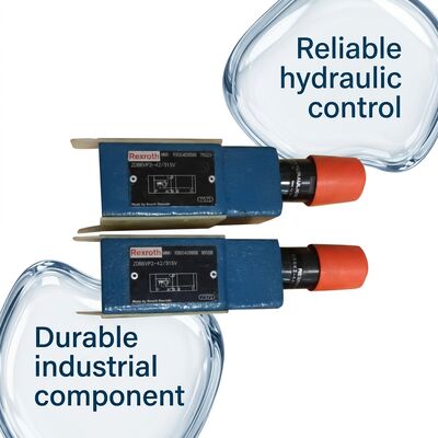 R900409958 ZDB10VP2-4X/315V Rexroth overflow valve pilot control valve