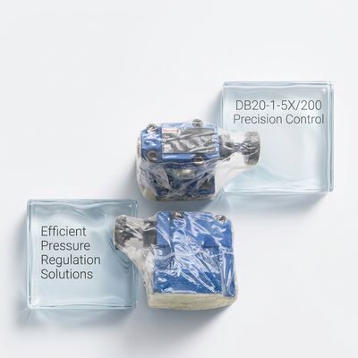 R900502117 DB20-1-5X/200 German Rexroth original overflow valve
