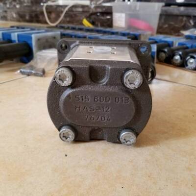 0510625013 AZPF-1X-019RCB20MB Rexroth gear pump

